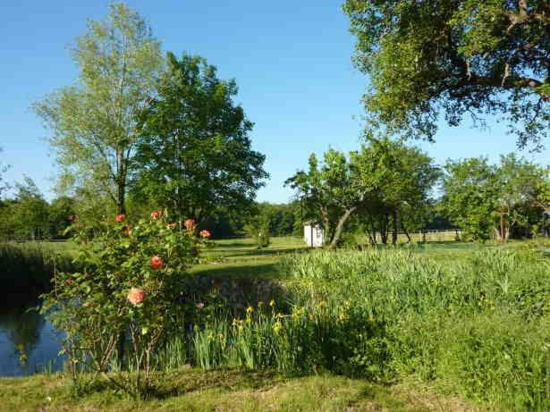 Maison Dans Belle Longere - La Serrerie Le Controis-en-Sologne Luaran gambar